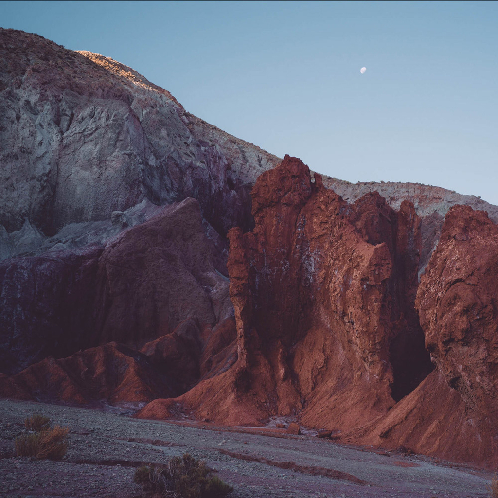 Chiara Zonca | Exploring Beautiful Oddities