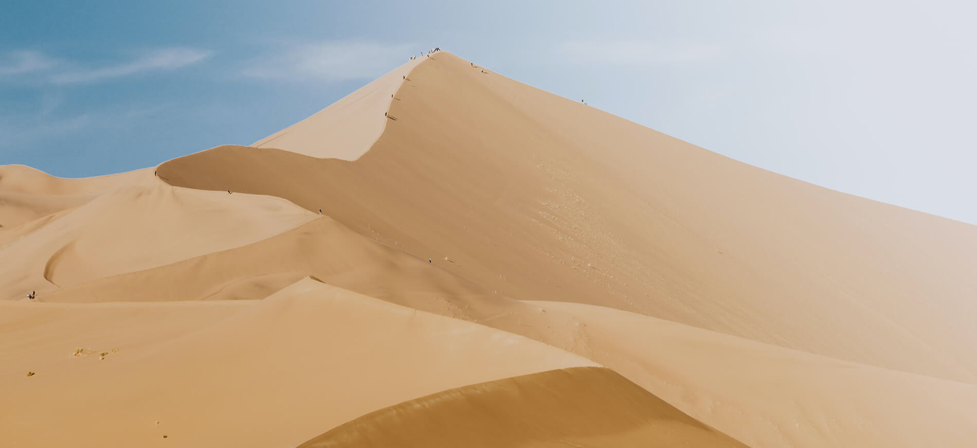 Mathias Elmeskog | Image Quality Specialist Tests X and 907X Cameras in Namibia