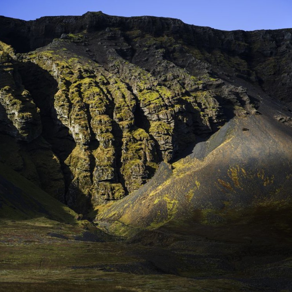 Medium Format cover image