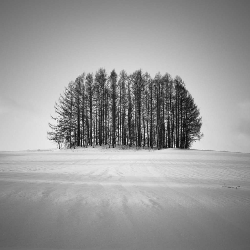 Hengki Koentjoro | Monochromatic Minimalism with the X1D
