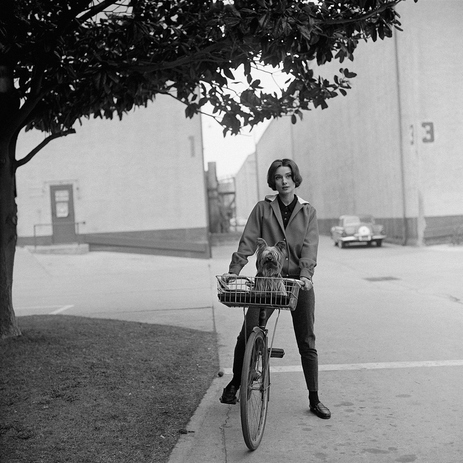 Sid Avery and his Hasselblad | 100 years