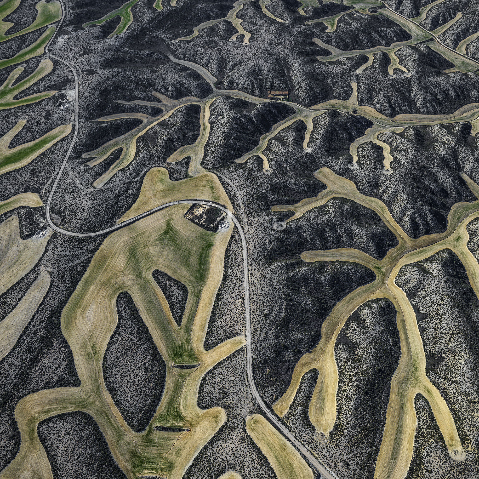 Hans Strand | Manmade Land