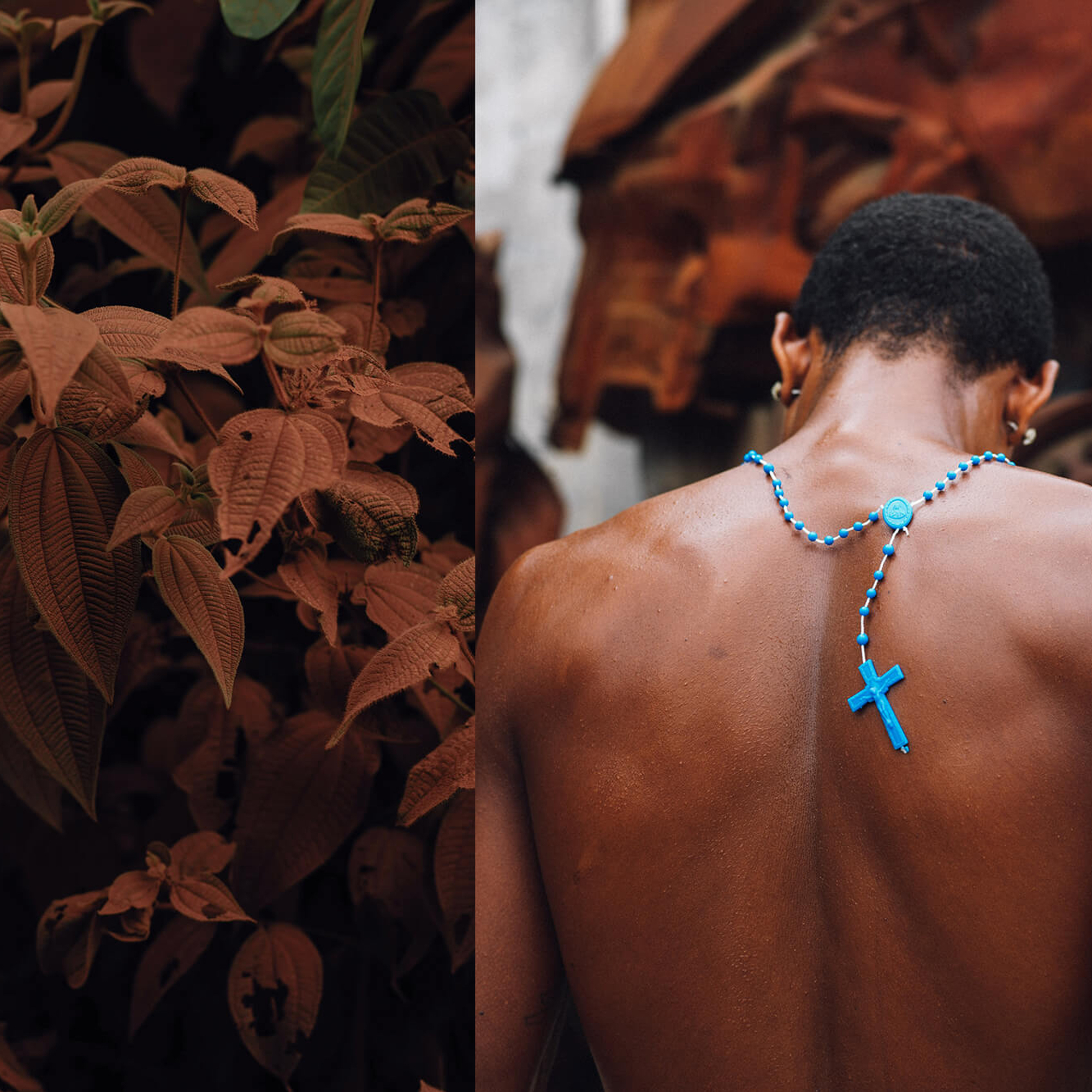 Gleeson Paulino | Bold Brazil