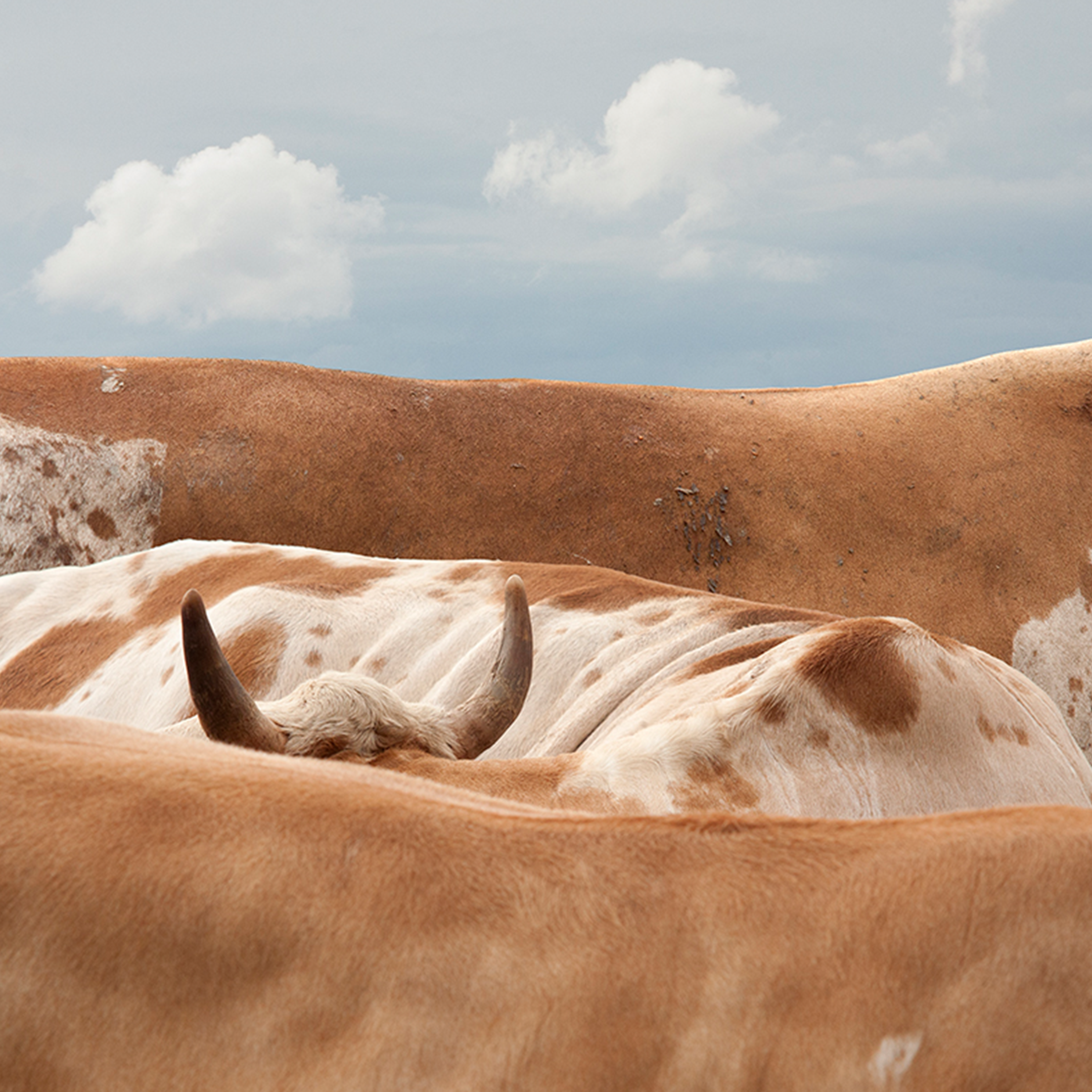 HASSELBLAD MASTERS 2026 PHOTOGRAPHY COMPETITION ANNOUNCES WINNERS