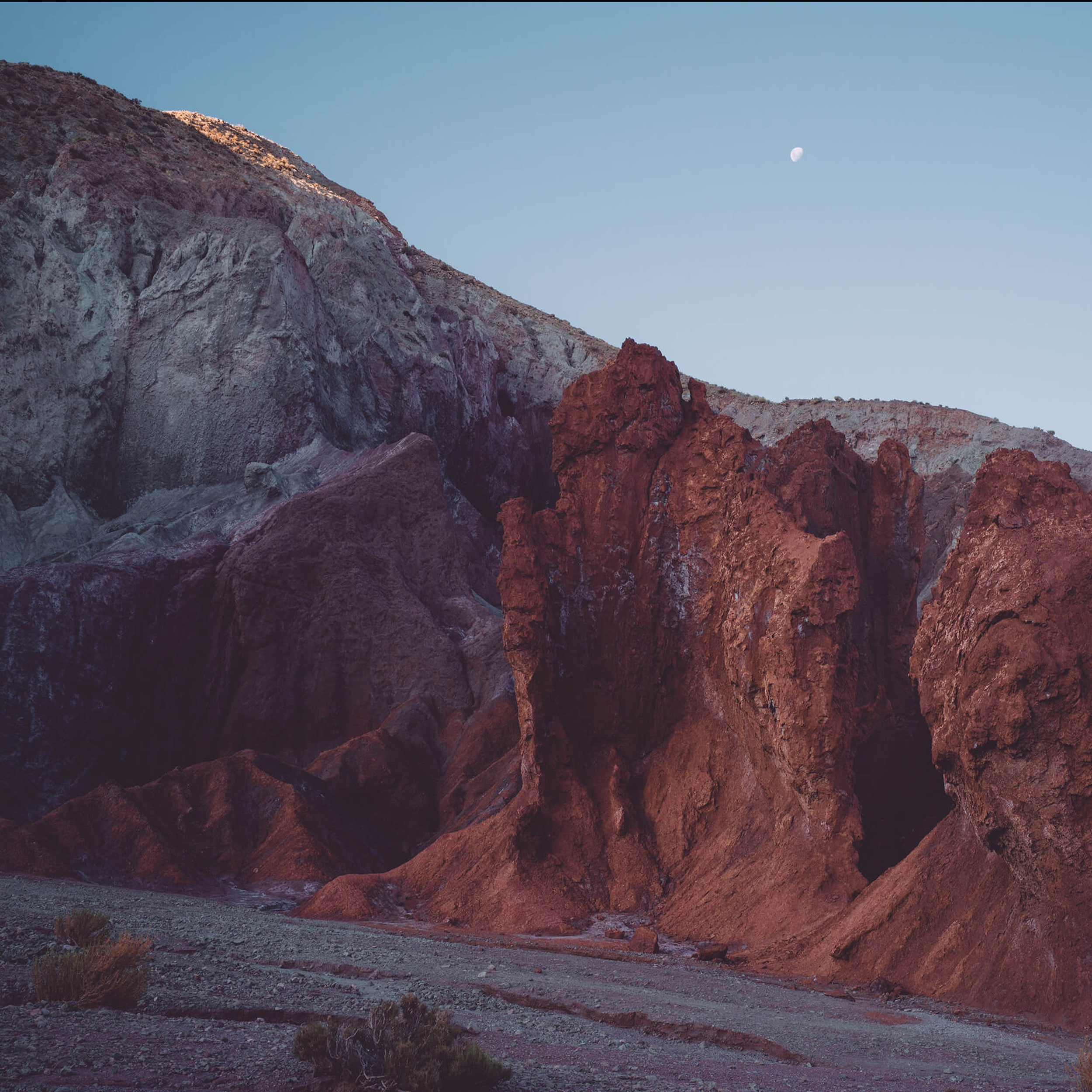 Chiara Zonca | Exploring Beautiful Oddities