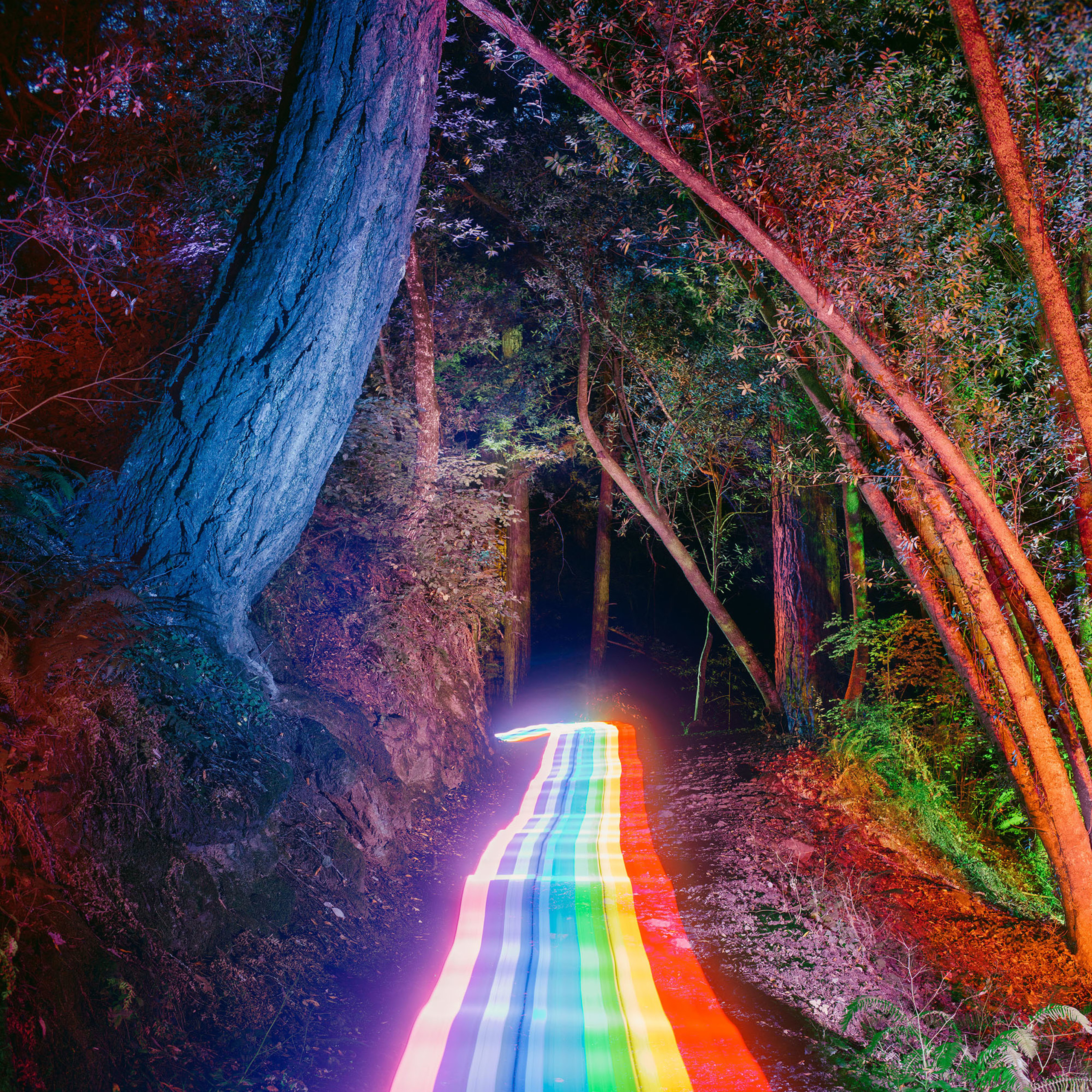 Daniel Mercadante | The Rainbow Road Series