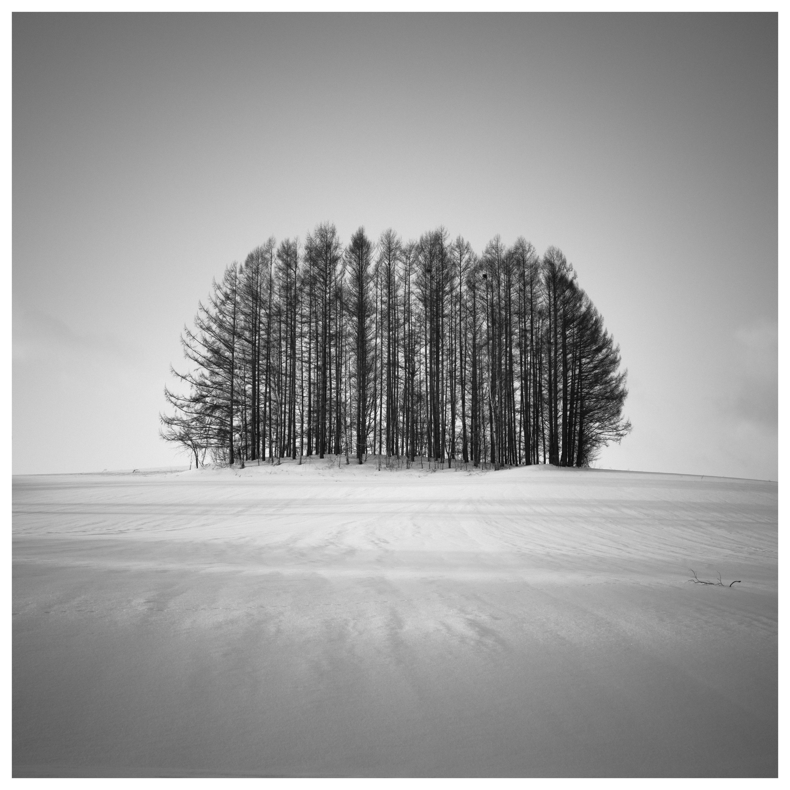 Hengki Koentjoro | Monochromatic Minimalism with the X1D