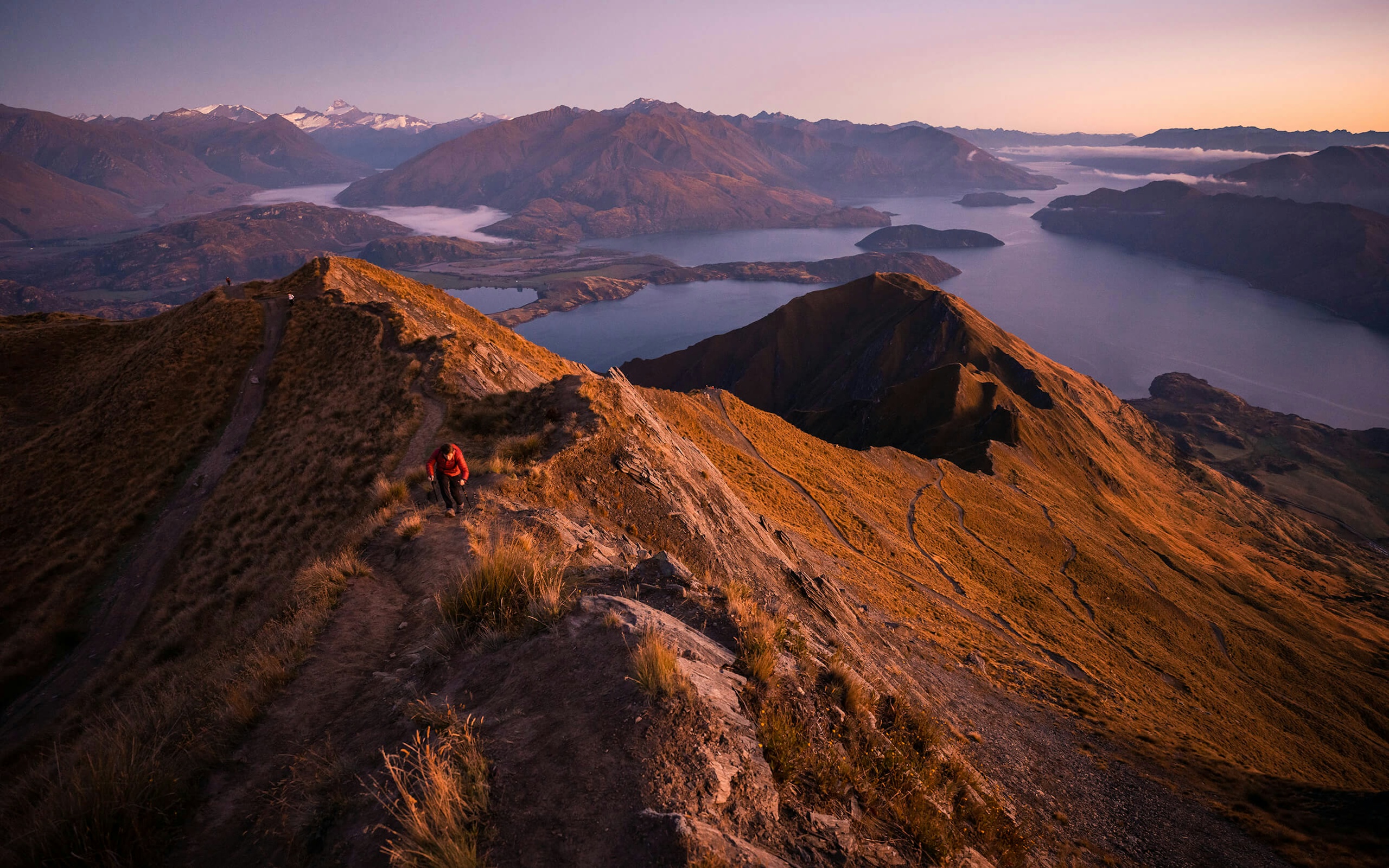 Adam Weist | Adventuring Through the Subtropical Rainforests and Active Volcanoes of New Zealand